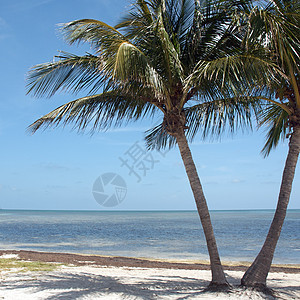 美国佛罗里达州西主要海滩公园摄影海浪达人海洋蓝色假期旅行游泳钥匙图片