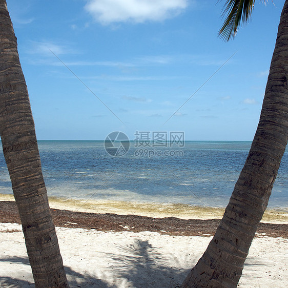 美国佛罗里达州西主要海滩蓝色公园钥匙假期旅行海洋达人地平线游泳海岸图片