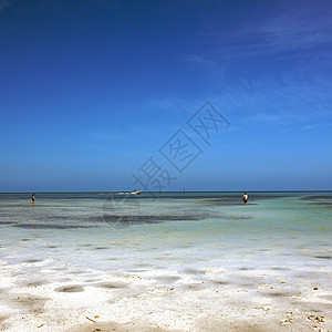 美国佛罗里达州西主要海滩游泳假期地平线海浪天空达人公园海洋钥匙旅行图片