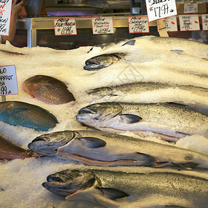 派克市场食物钓鱼摄影杂货店游客渔民地标店铺旅行海鲜图片
