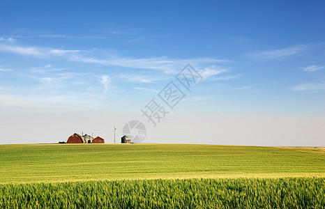 草原农场农田收成粮食国家生长农业谷仓场地天空小麦图片