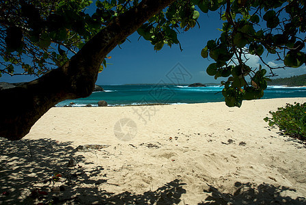 和波多黎各的海岸线海浪游客旅游场景制作人里科假期冲浪海洋图片