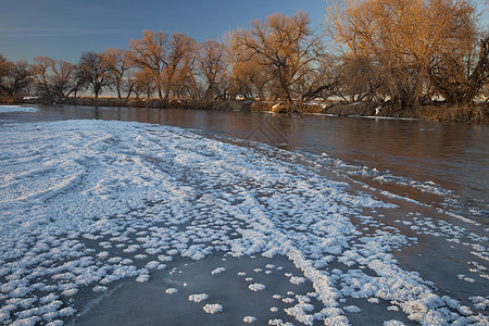 科罗拉多州格里利附近南普拉特河的冬季图片