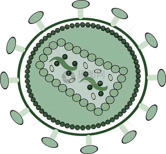 艾滋病病毒保健生物学科学死亡细菌细胞感染电脑扫描器微生物学图片