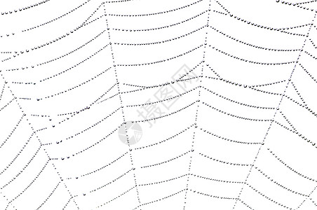 露天可泡网蜘蛛工作珠子纤维蜘蛛网蛛网羊毛细节斑点特写图片