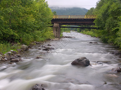 旧桥河过河绿色河道地衣植物瀑布溪流叶子岩石图片