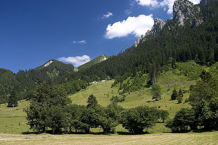 横向景观森林远足蓝色山脉天空大山牧场地景绿色图片