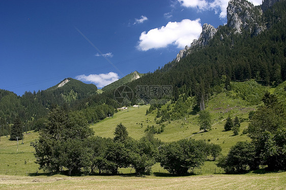 横向景观森林远足蓝色山脉天空大山牧场地景绿色图片