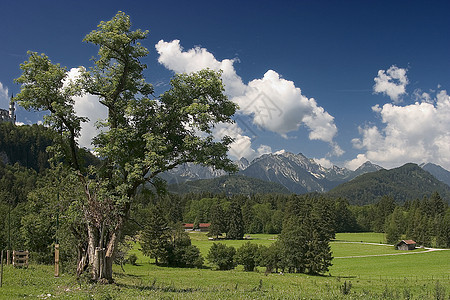 全景大山天空山脉远足绿色地景蓝色牧场森林图片