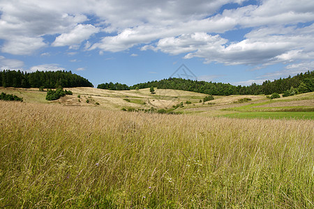 夏季风景地平线乡村国家农村公园爬坡天空蓝色绿色多云图片