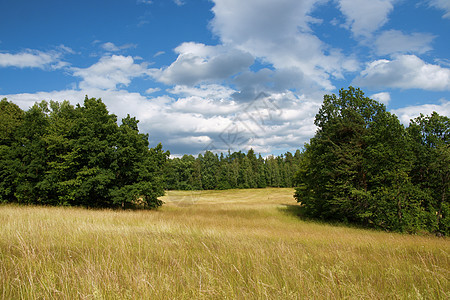 夏季风景森林国家乡村爬坡场地绿色公园天空蓝色多云图片