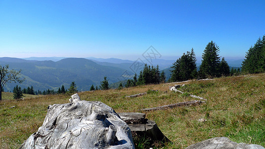 在山顶的山顶视野山脉黑森林丘陵全景草地爬坡场地木头蓝天图片