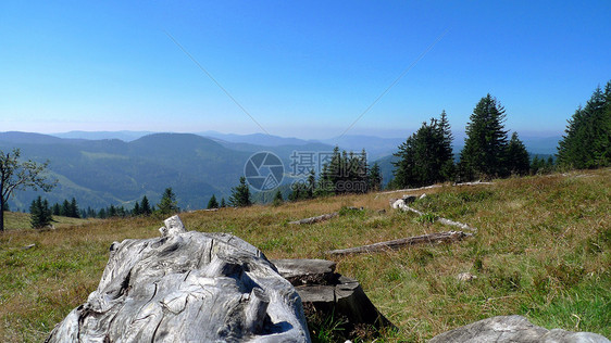 在山顶的山顶视野山脉黑森林丘陵全景草地爬坡场地木头蓝天图片