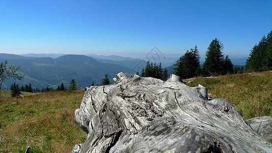 在山顶的山顶视野全景天空黑森林场地木头山脉草地蓝天爬坡图片