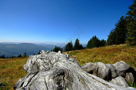 在山顶的山顶爬坡视野场地天空全景草地山脉丘陵蓝天黑森林图片