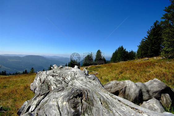 在山顶的山顶爬坡视野场地天空全景草地山脉丘陵蓝天黑森林图片