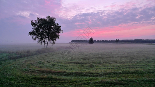 早晨雾薄雾地区图片