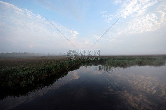 米丝湖海岸石头海岸线银行自然树木支撑森林边缘娱乐图片