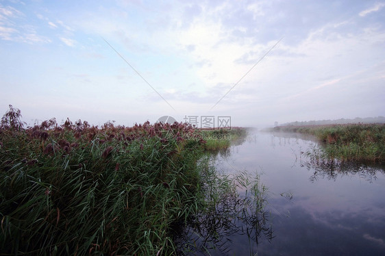 米丝湖娱乐海岸线树木海岸石头森林自然银行边缘支撑图片