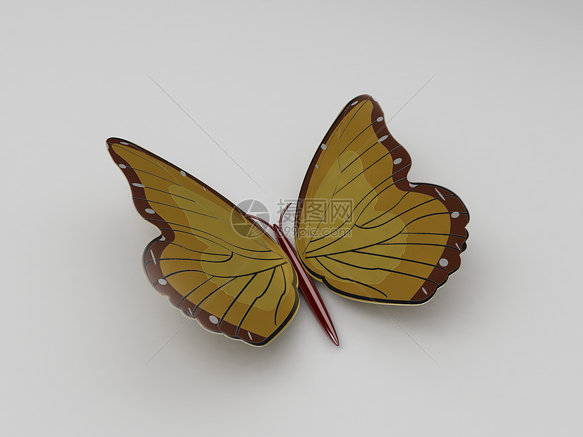 3维磁性蝴蝶图片