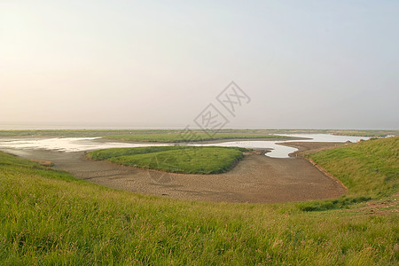 海滨和湿地背景图片