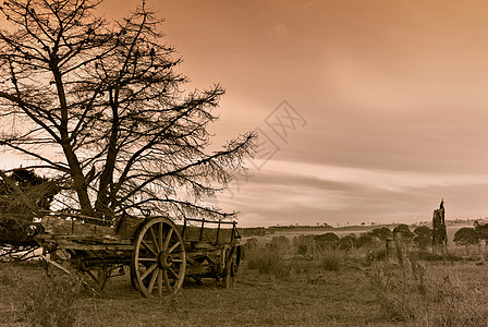 老旧马车大车车皮色调轮子棕褐色农村乡村农田农场图片