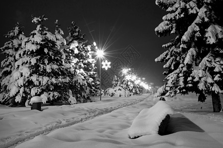 雪雪城市街道树木长椅脚印背景图片