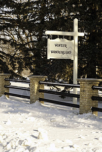 冬季奇幻乐园栅栏松树季节白色树木乡村季节性仙境背景图片