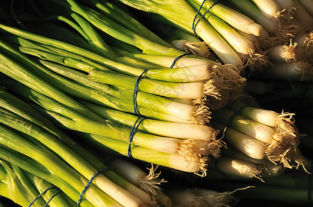 扇形蔬菜洋葱农民沙拉杂货店生产绿色食物店铺饮食背景图片
