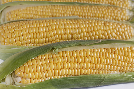 玉米在椰子上蔬菜营养收成绿色花园叶子黄色食物核心农业图片