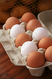 蛋孵化生产营养小鸡奶制品纸盒母鸡杂货食谱团体图片
