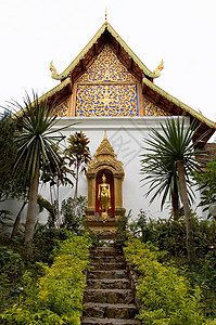 金金芽雕塑寺庙文化雕像沉思精神场景宗教崇拜佛教徒图片