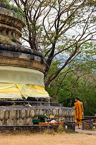 寺庙和尚佛教徒宗教文化橙子雕塑宝塔金子佛塔石头旅游图片