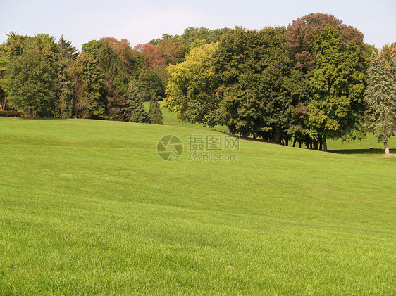 以绿草坪为生的多棵树风景绿色国家草原面积草地公园农村绿色植物乡村图片