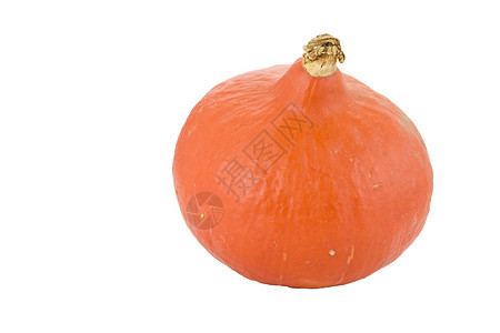 白上孤立的单人合金海道橙子食物农业季节性水果季节感恩蔬菜收成图片