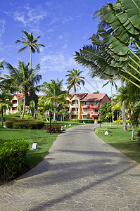 热带热带度假胜地棕榈酒店旅行天堂天空假期旅游图片