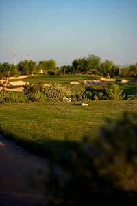 在亚利桑那沙漠的高尔夫球场 日落午后山峰社区蓝色挑战树木陷阱大车爬坡国家房屋球道图片