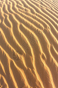 金沙沙沙丘的抽象图像图片