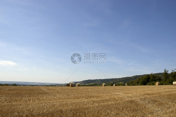 金金田庄稼干草田园农场太阳阳光小麦天空圆形收获图片