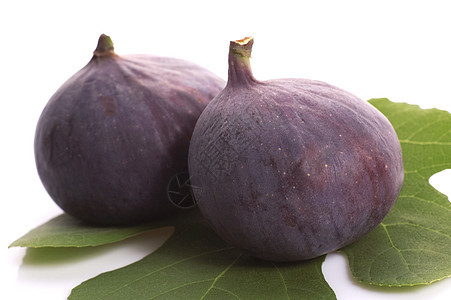 新鲜无花果烹饪饮食紫色水果营养种子树叶生产叶子泻药图片