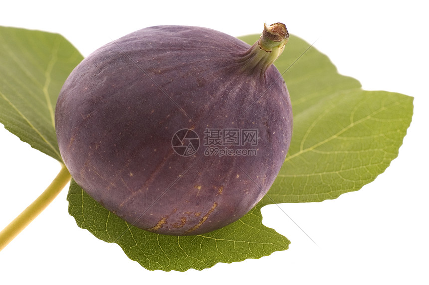 叶子上的无花果泻药烹饪饮食紫色水果市场营养热带树叶食物图片
