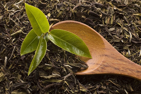 茶叶子草本植物宏观树叶勺子绿色植物图片