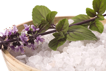 海水盐和鲜花的烤肉医疗水疗草本植物疗法医学保健绿色香味紫色护理图片