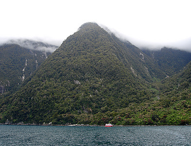 新泽州密尔福德湾内穿越山区的旅游船图片