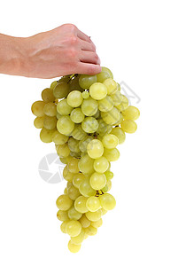 葡萄水果绿色背景图片