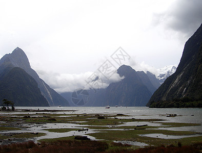 新西兰密尔福德音响内米特里佩克的穆迪观点图片