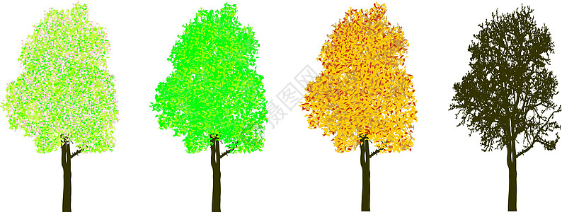 四季的树苗分支机构天气孤独树干插图美丽落叶农村灌木树叶图片