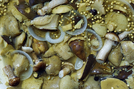 泡菜蘑菇花絮成份常委瓶装美味美食享乐主义者图片