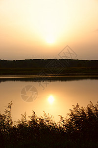 湖边黎明剪影野生动物太阳风景日落荒野城市孤独阳光薄雾图片