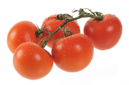 红番茄5个新鲜红番茄 含滴子图片